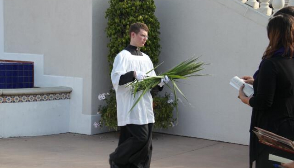 Palm Sunday 2014