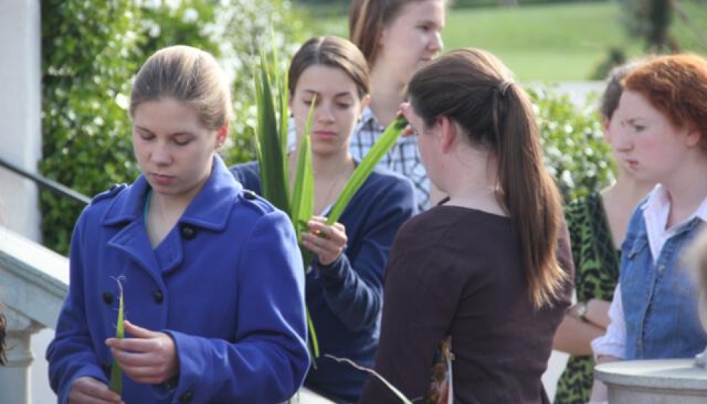 Palm Sunday 2014