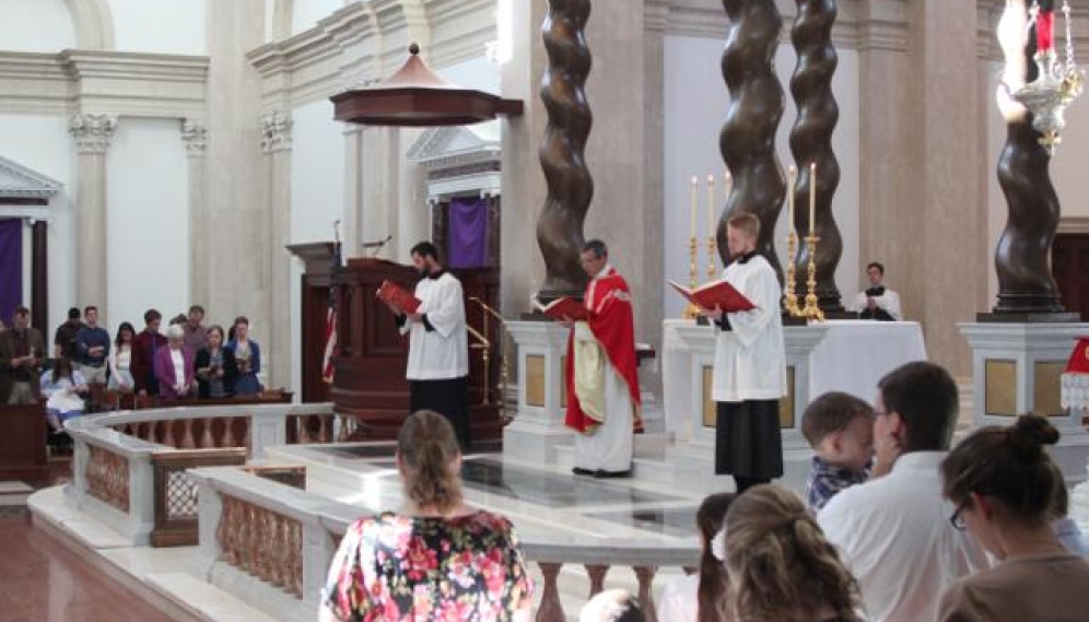 Palm Sunday Procession 2015