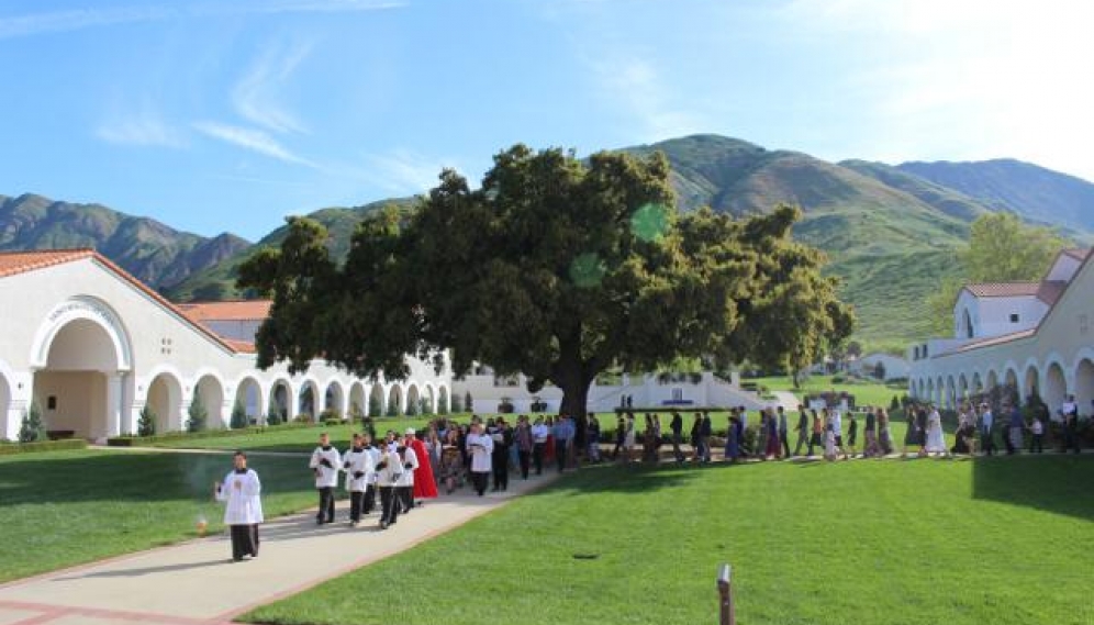 Palm Sunday Procession 2019