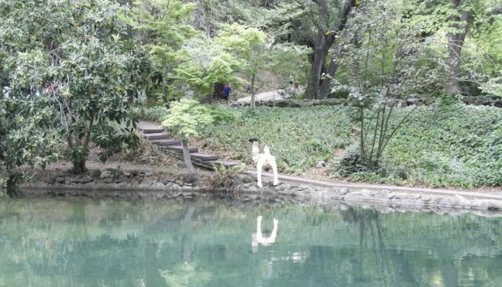 Senior Pond-Jumping 2013