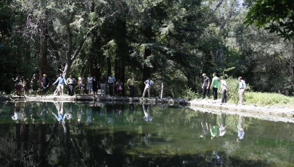 Senior Pond-Jumping 2016