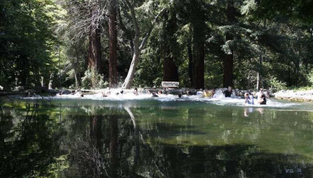 Senior Pond-Jumping 2016