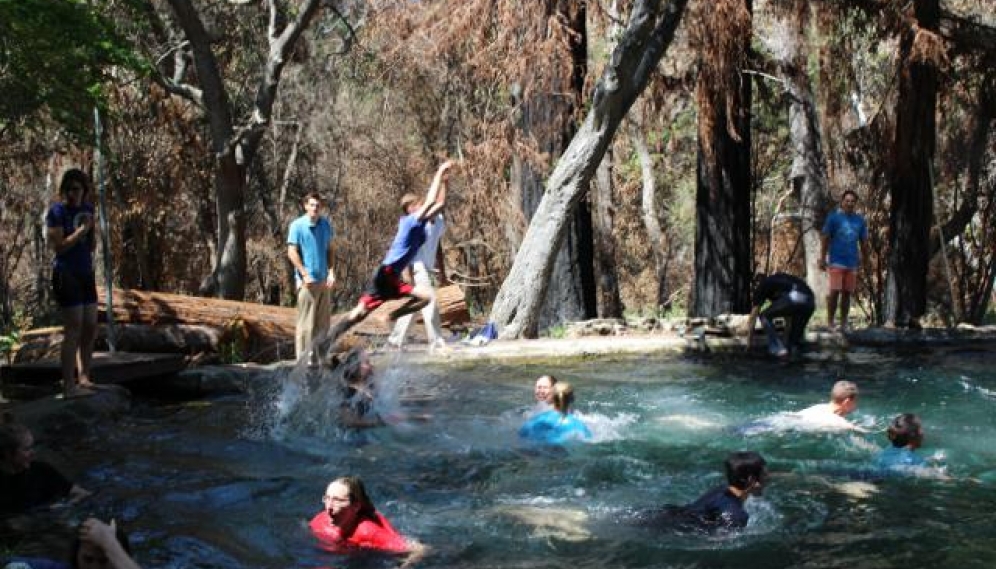 Pond-Jumping 2018