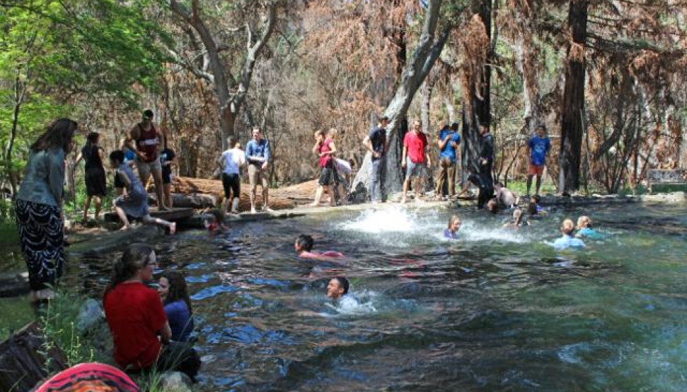 Pond-Jumping 2018