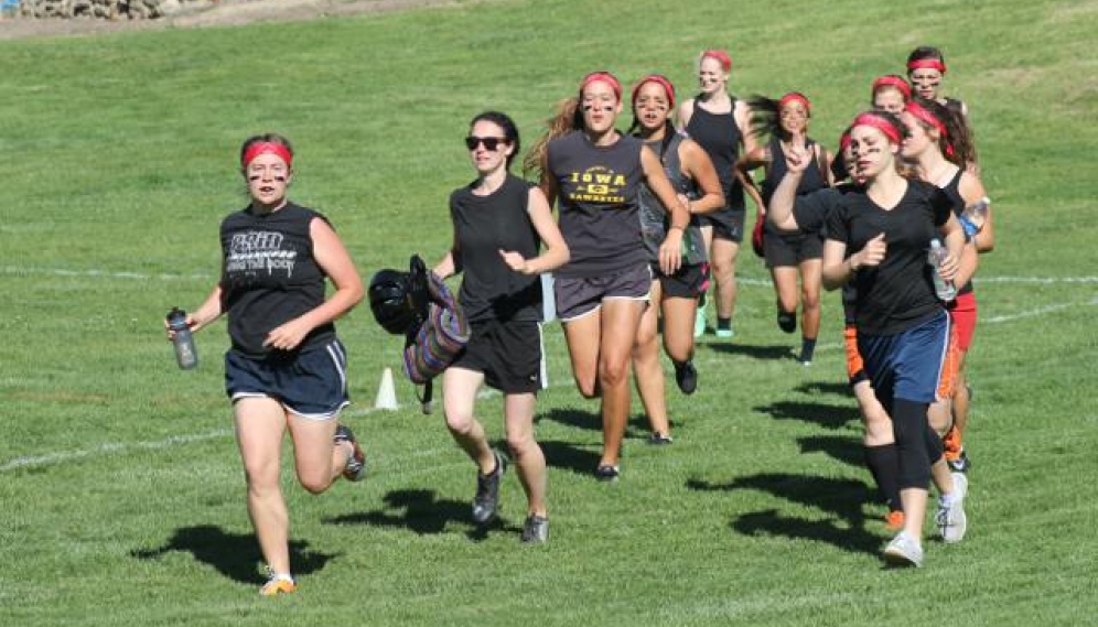 Powder Puff Bowl 2015