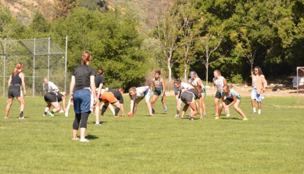 Powder Puff Bowl 2015