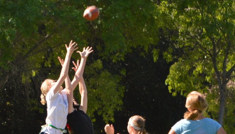 Powder Puff Bowl 2015