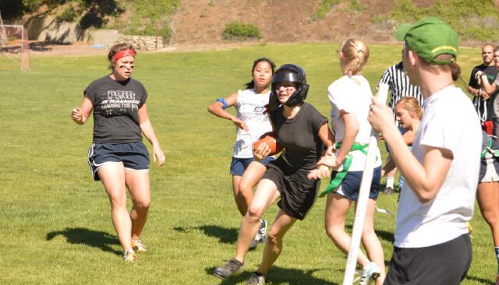 Powder Puff Bowl 2015