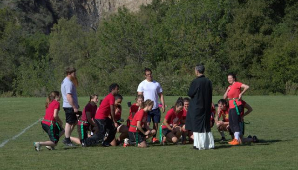 Powder Puff Bowl 2014