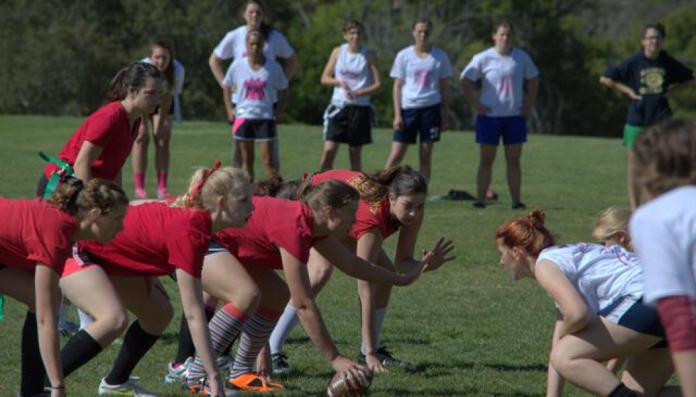 Powder Puff Bowl 2014