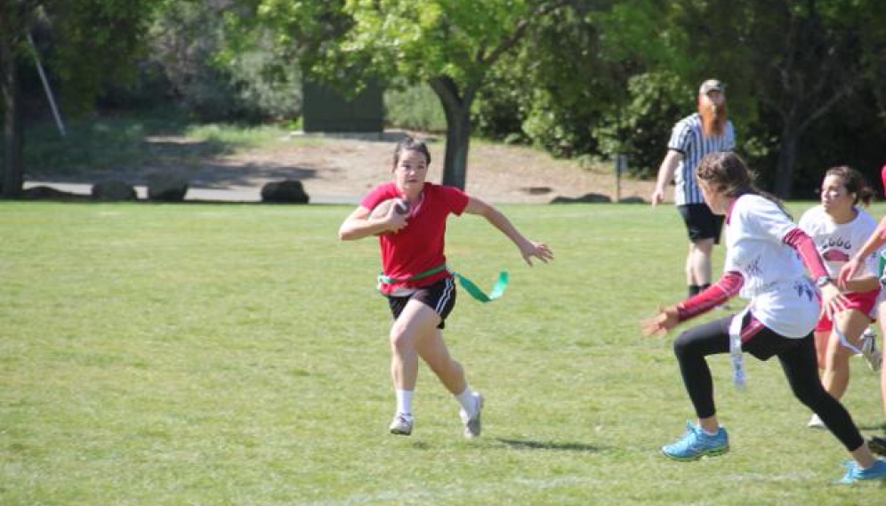 Powder Puff Bowl 2014