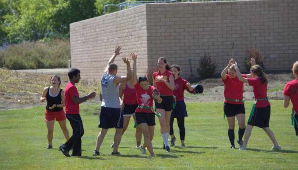 Powder Puff Bowl 2014