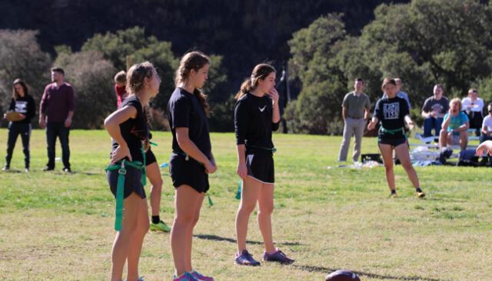 Powder Puff Bowl 2018