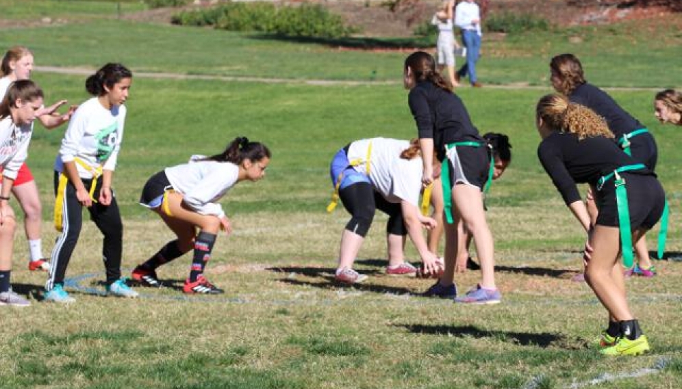 Powder Puff Bowl 2018