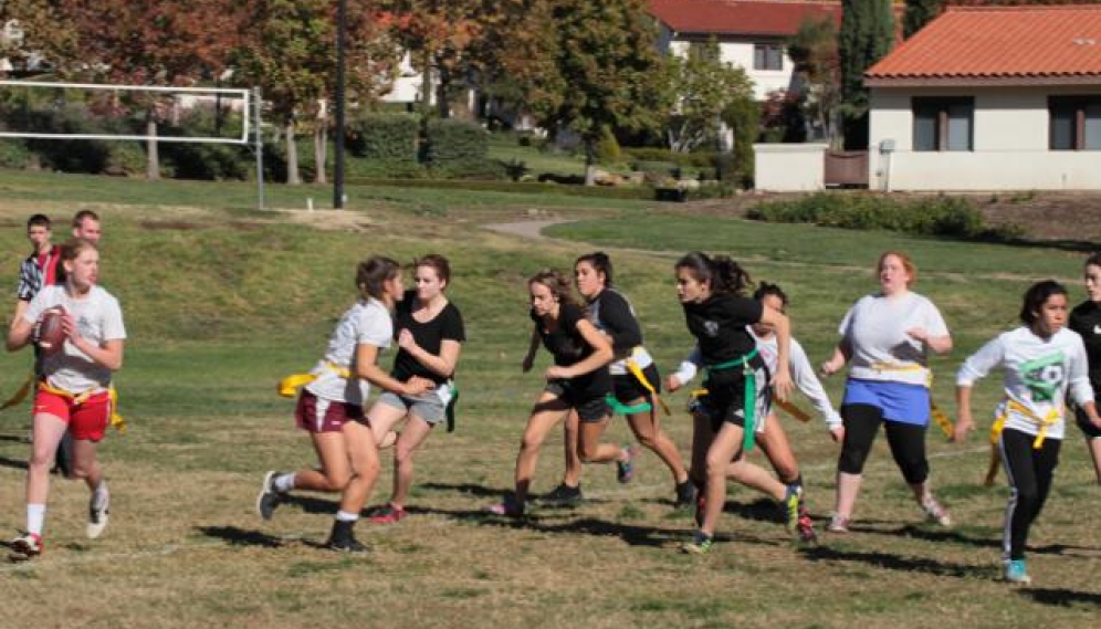 Powder Puff Bowl 2018