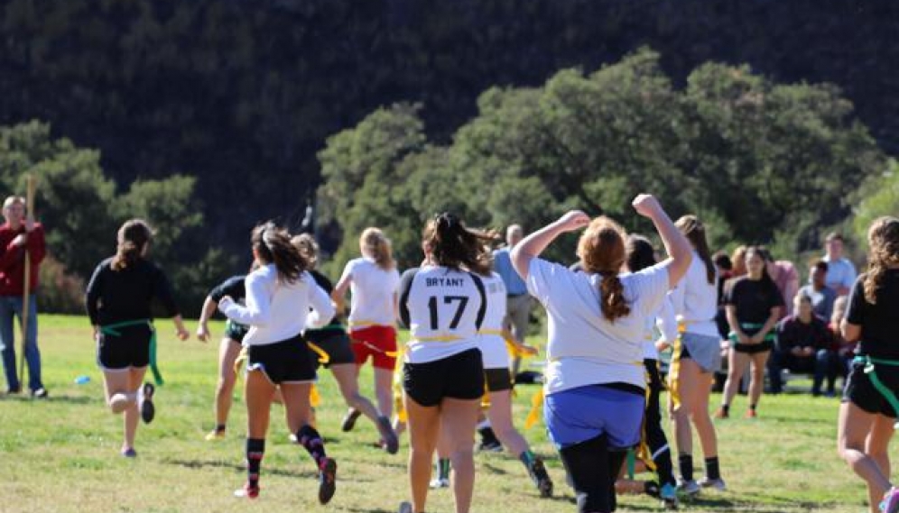 Powder Puff Bowl 2018