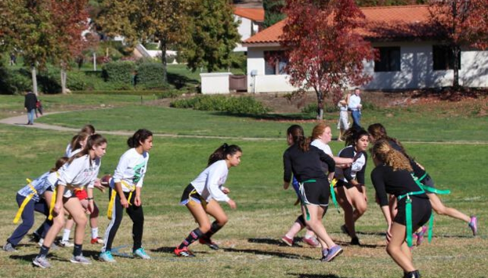 Powder Puff Bowl 2018