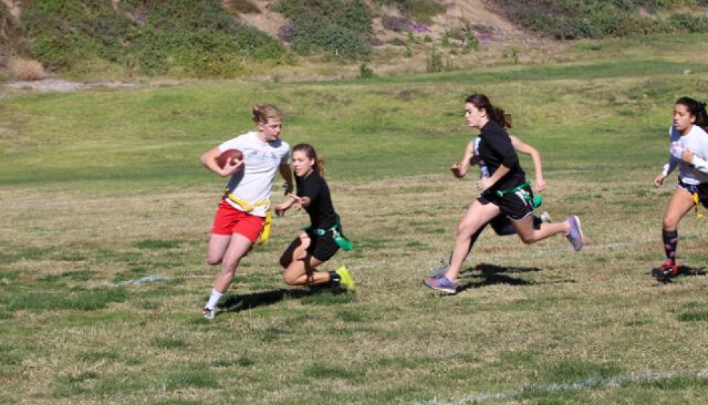 Powder Puff Bowl 2018