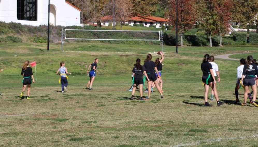 Powder Puff Bowl 2018