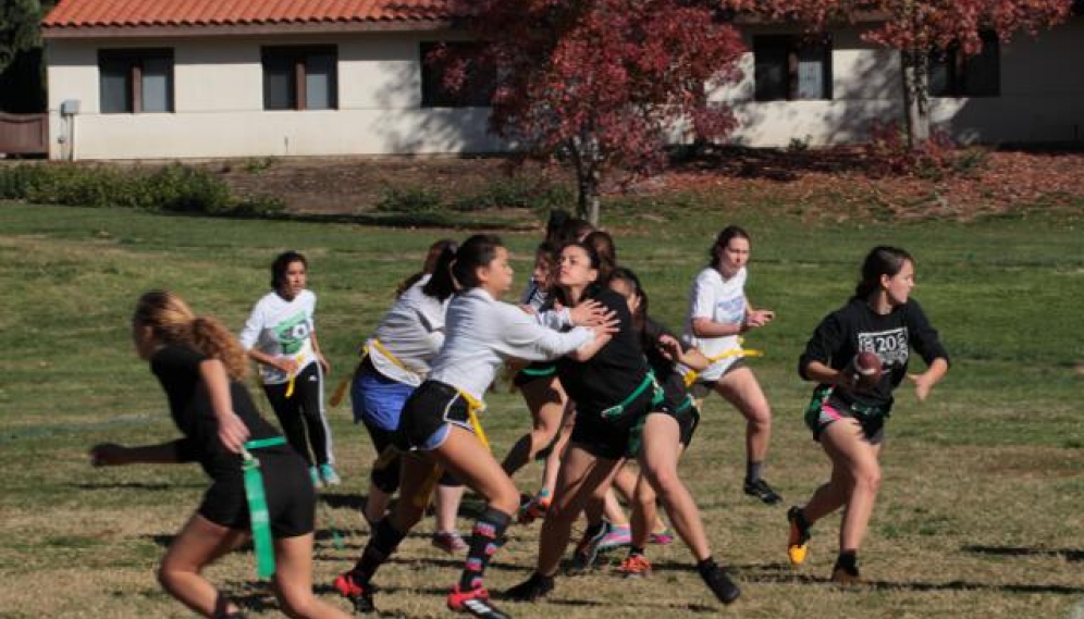 Powder Puff Bowl 2018