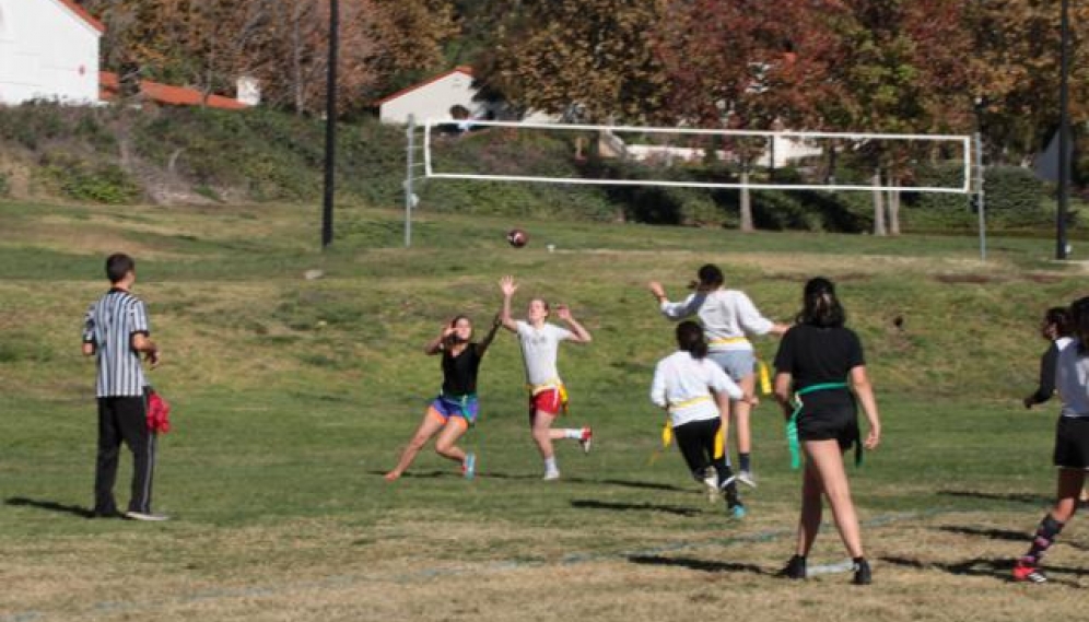 Powder Puff Bowl 2018