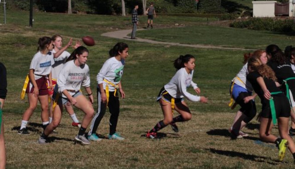 Powder Puff Bowl 2018