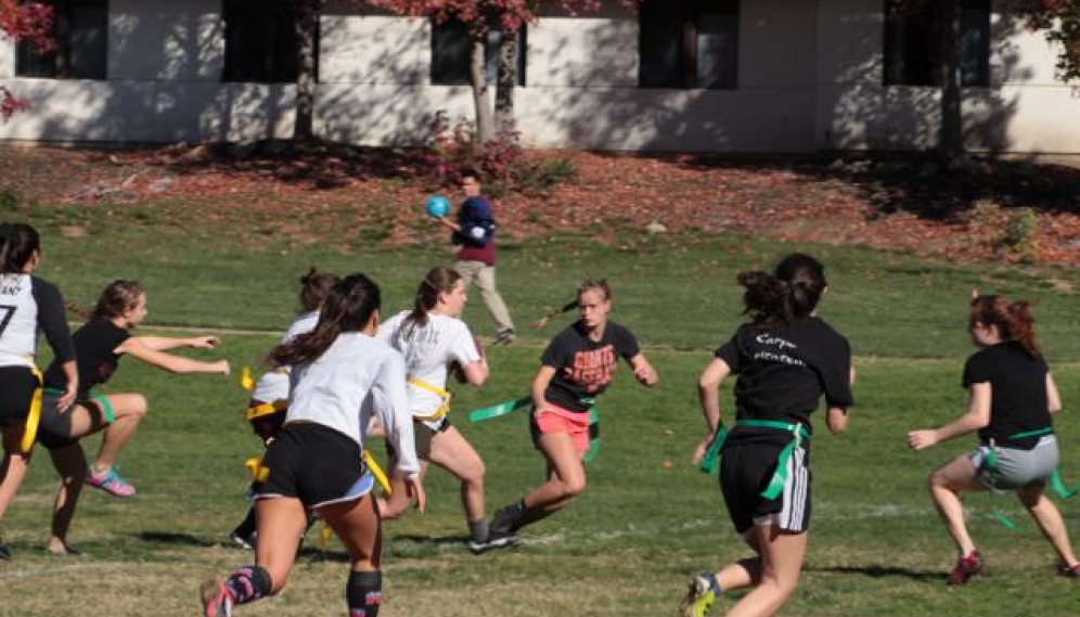 Powder Puff Bowl 2018