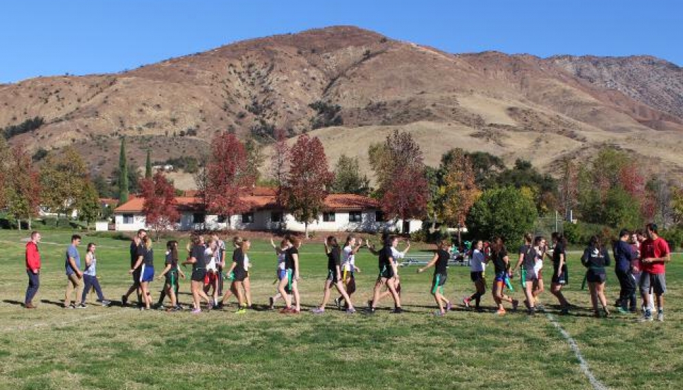 Powder Puff Bowl 2018