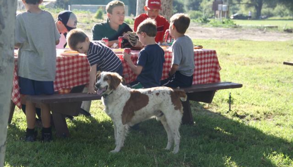 Senior-Faculty BBQ 2018