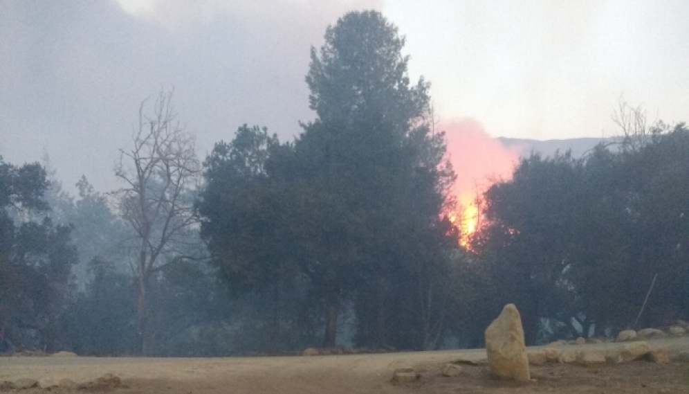 Thomas Fire 2017 Flames 