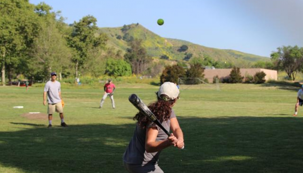 Senior-Tutor Softball 2019