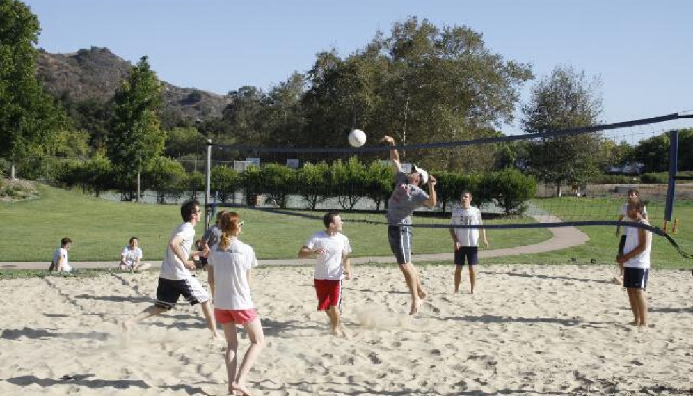 Sand Volleyball Fall 2014