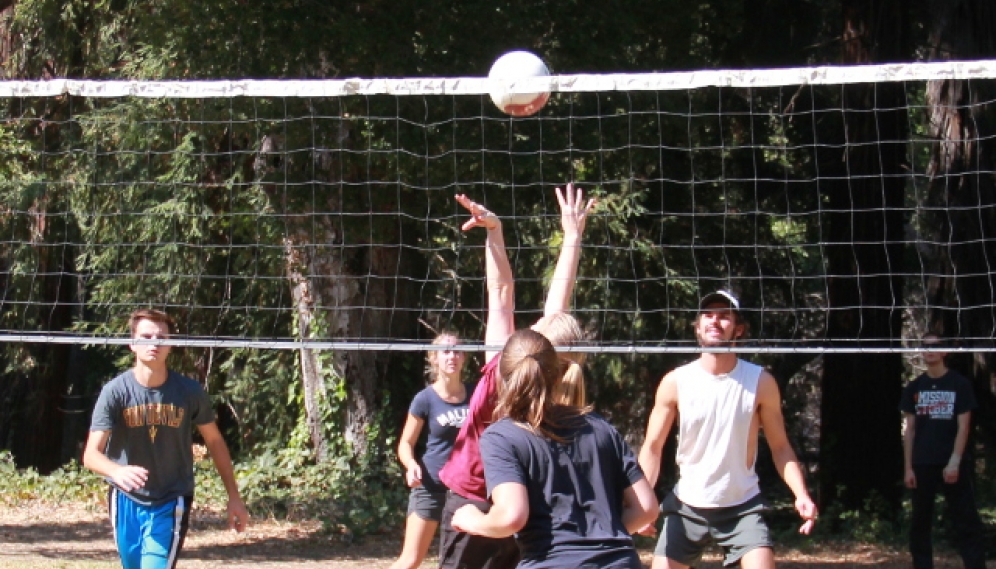 Fall Volleyball 2017