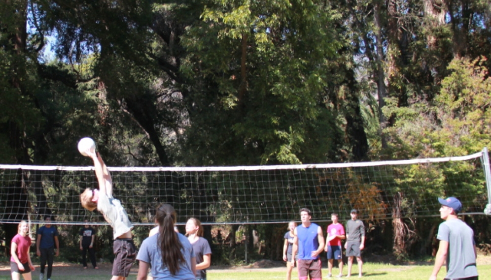 Fall Volleyball 2017