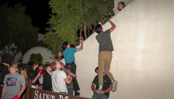 Men help hoist others up to pass roses over the wall