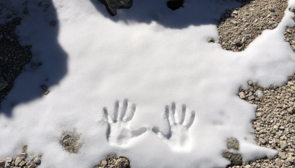 A pair of handprints in a patch of snow
