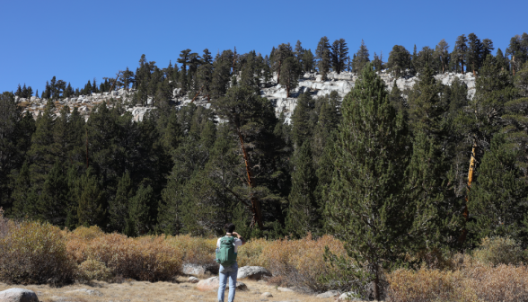 Seen from behind: a student surveys the rocky forest ahead of him