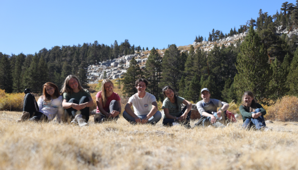 Seven pose, seated amidst the grasses