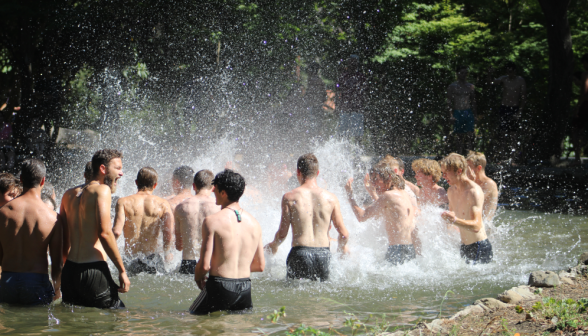 A huge splash fight develops in the pond