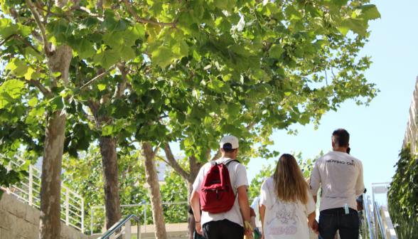 Three students walk under a row of trees