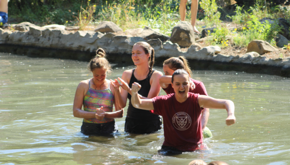 Four in the pond