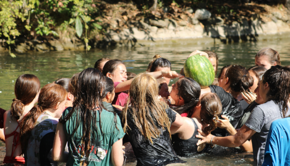 Struggling for the watermelon