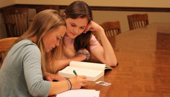 Two students study together