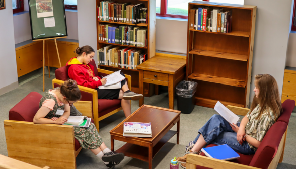 Three study by the bookcases