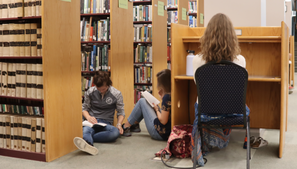 Three study by the bookshelves