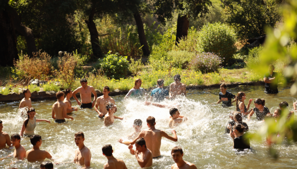 Splash fight in the ponds