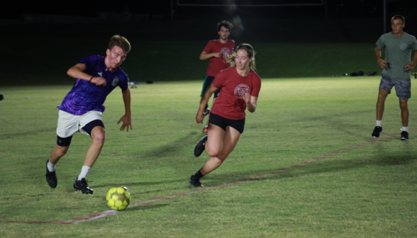 Two in pursuit of the ball