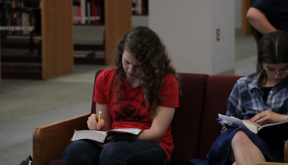 Two study on a couch