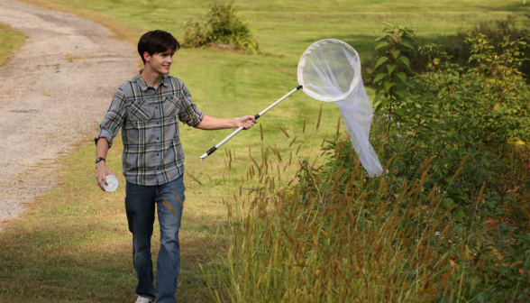 A freshman looks for bugs